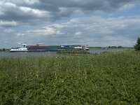 NL, Gelderland, Culemborg, Lek 4, Saxifraga-Willem van Kruijsbergen