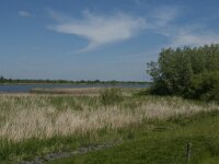 NL, Noord-Brabant, Altena, Amer 20, Saxifraga-Jan van der Straaten