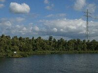 NL, Noord-Brabant, Altena, Amer 34, Saxifraga-Jan van der Straaten