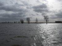 NL, Noord-Brabant, Waalwijk, Bergsche Maas 4, Saxifraga-Willem van Kruijsbergen