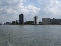 NL, Zuid-Holland, Rotterdam 4, Saxifraga-Willem van Kruijsbergen