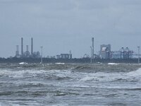 NL, Zuid-Holland, Rotterdam, Maasvlakte 6, Saxifraga-Willem van Kruijsbergen
