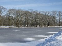 NL, Noord-Brabant, Alphen-Chaam, de Hoevens 64, Saxifraga-Willem van Kruijsbergen