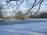 NL, Noord-Brabant, Alphen-Chaam, de Hoevens 67, Saxifraga-Willem van Kruijsbergen