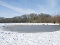 NL, Noord-Brabant, Alphen-Chaam, de Hoevens 81, Saxifraga-Willem van Kruijsbergen