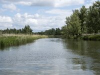 NL, Noord-Brabant, Drimmelen, Buiten Kooigat 43, Saxifraga-Willem van Kruijsbergen