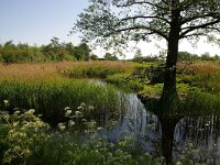 NL, Utrecht, Maarssen, Tienhoven 2, Foto Fitis-Sytske Dijksen
