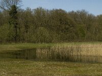 NL, Limburg, Weert, De Krang 6, Saxifraga-Jan van der Straaten