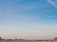 Gate used as fence  Gate used as fence in scenic rural winter landscape : Netherlands, agricultural, agriculture, blue, canal, color, creative nature, dawn, deposit, ditch, droplets, dusk, dutch, environment, fence, field, freezing, frozen, gate, granular, grass, green, holland, ice, landscape, light, natural, nature, opaque, rime, rimed, river, rudmer zwerver, rural, scene, sky, sun, sunrise, sunset, water, white, winter