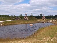 NL, Drenthe, Westerveld, Holtingerveld 12, Saxifraga-Hans Dekker