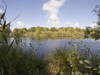 NL, Groningen, Hoogezand-Sappemeer, Westerbroek 27, Saxifraga-Jaap Schelvis : Westerbroek