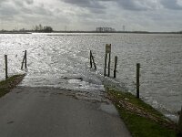 NL, Noord-Brabant, Altena, Braspenning 6, Saxifraga-Jan van der Straaten