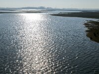 NL, Noord-Brabant, Altena, Galeiwaard 10, Saxifraga-Jan van der Straaten