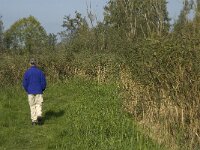 NL, Noord-Brabant, Altena, Kornsche Boezem 11, Saxifraga-Jan van der Straaten (2)