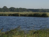 NL, Noord-Brabant, Bergen op Zoom, Hildernisse 9, Saxifraga-Jan van der Straaten