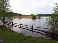 NL, Noord-Brabant, Eersel, Grootmeer 17, Saxifraga-Tom Heijnen