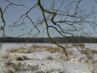 NL, Noord-Brabant, Oirschot, Winkelsven 25, Saxifraga-Marijke Verhagen
