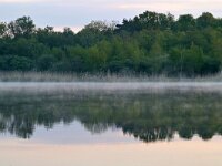 NL, Noord-Brabant, Valkenswaard, Greveschutven in Landgoed Valkenhorst 7, Saxifraga-Tom Heijnen