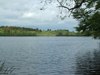 F, Jura, Bonlieu, Lac de Bonlieu 1, Saxifraga-Willem van Kruijsbergen