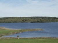 F, Nievre, Saint-Agnan 4, Saxifraga-Willem van Kruijsbergen