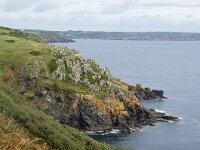 GB, Cornwall, Helston, SW Coastpath, Lizard 1, Saxifraga-Foto Fitis-Sytske Dijksen