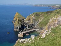 GB, Cornwall, Helston, SW Coastpath, Lizard 7, Saxifraga-Foto Fitis-Sytske Dijksen