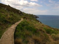 GB, Cornwall, St Ives, SW Coastpath 8, Saxifraga-Foto Fitis-Sytske Dijksen