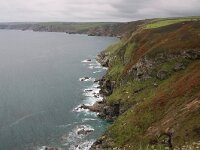 GB, Cornwall, Tintagel, SW Coastpath, Tregardock 2, Saxifraga-Foto Fitis-Sytske Dijksen