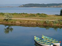 F, Aude, Gruissan, La Clappe 2, Saxifraga-Hans Dekker