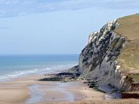 F, Pas-de-Calais, Escalles, Cap Blanc Nez 6, Saxifraga-Hans Dekker
