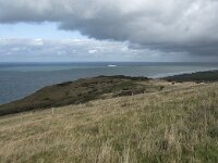 F, Pas-de-Calais, Sangatte, Cap Blanc Nez 2, Saxifraga-Willem van Kruijsbergen