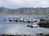 N, Finnmark, Nordkapp, Gjesvaer 10, Saxifraga-Willem van Kruijsbergen