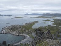 N, Finnmark, Nordkapp, Gjesvaer 43, Saxifraga-Willem van Kruijsbergen
