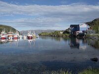 N, Finnmark, Nordkapp, Gjesvaer 52, Saxifraga-Willem van Kruijsbergen