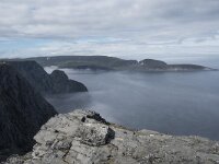 N, Finnmark, Nordkapp, Nordkapp 27, Saxifraga-Willem van Kruijsbergen