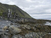 N, Finnmark, Nordkapp, Nordvagen 4, Saxifraga-Willem van Kruijsbergen