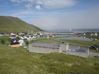 N, Finnmark, Nordkapp, Skarsvag 10, Saxifraga-Willem van Kruijsbergen