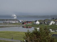 N, Finnmark, Nordkapp, Skarsvag 9, Saxifraga-Willem van Kruijsbergen