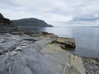 N, Finnmark, Porsanger, Russenes 11, Saxifraga-Willem van Kruijsbergen
