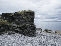 N, Finnmark, Porsanger, Russenes 13, Saxifraga-Willem van Kruijsbergen