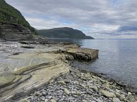 N, Finnmark, Porsanger, Russenes 5, Saxifraga-Willem van Kruijsbergen