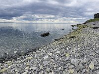 N, Finnmark, Porsanger, Russenes 6, Saxifraga-Willem van Kruijsbergen