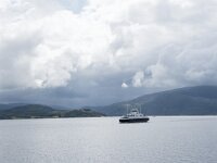 N, Nordland, Alstahaug, Langholmen 6, Saxifraga-Willem van Kruijsbergen