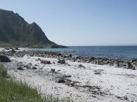 N, Nordland, Andoy, Bleik 1, Saxifraga-Willem van Kruijsbergen