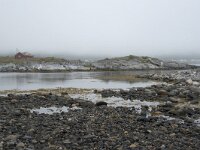 N, Nordland, Andoy, Noss 2, Saxifraga-Willem van Kruijsbergen