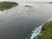 N, Nordland, Bodo, Saltstraumen 2, Saxifraga-Willem van Kruijsbergen
