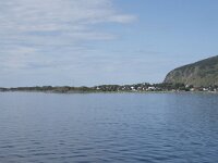 N, Nordland, Hadsel, Melbu 4, Saxifraga-Willem van Kruijsbergen