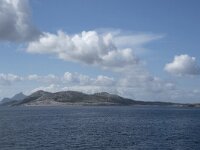 N, Nordland, Rodoy, Sorfjorden 2, Saxifraga-Willem van Kruijsbergen