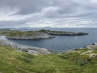 N, Nordland, Vagan, Orsnes 22, Saxifraga-Willem van Kruijsbergen