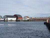 N, Nordland, Vagan, Svolvaer 4, Saxifraga-Willem van Kruijsbergen